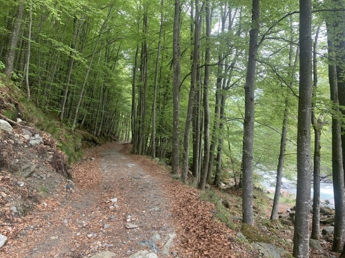 Ospitar_3-SENTIERI-NATURA